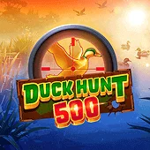 Duck Hunt 500